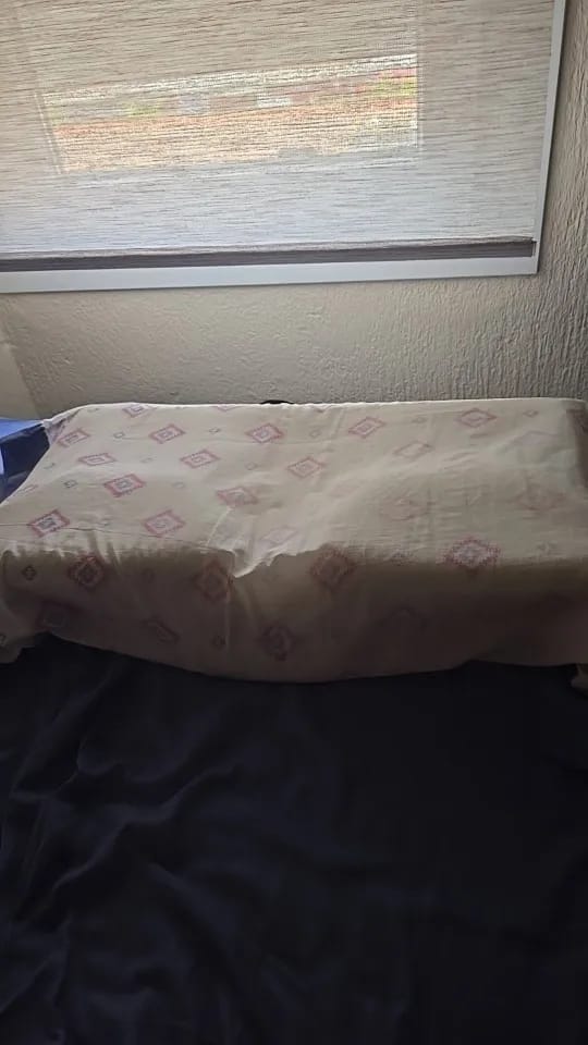 Customer photo review of Butterfly Comfort Neck Pillow Buy 1 Get 1 FREE