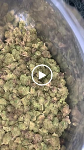Customer video review of THCA Queen