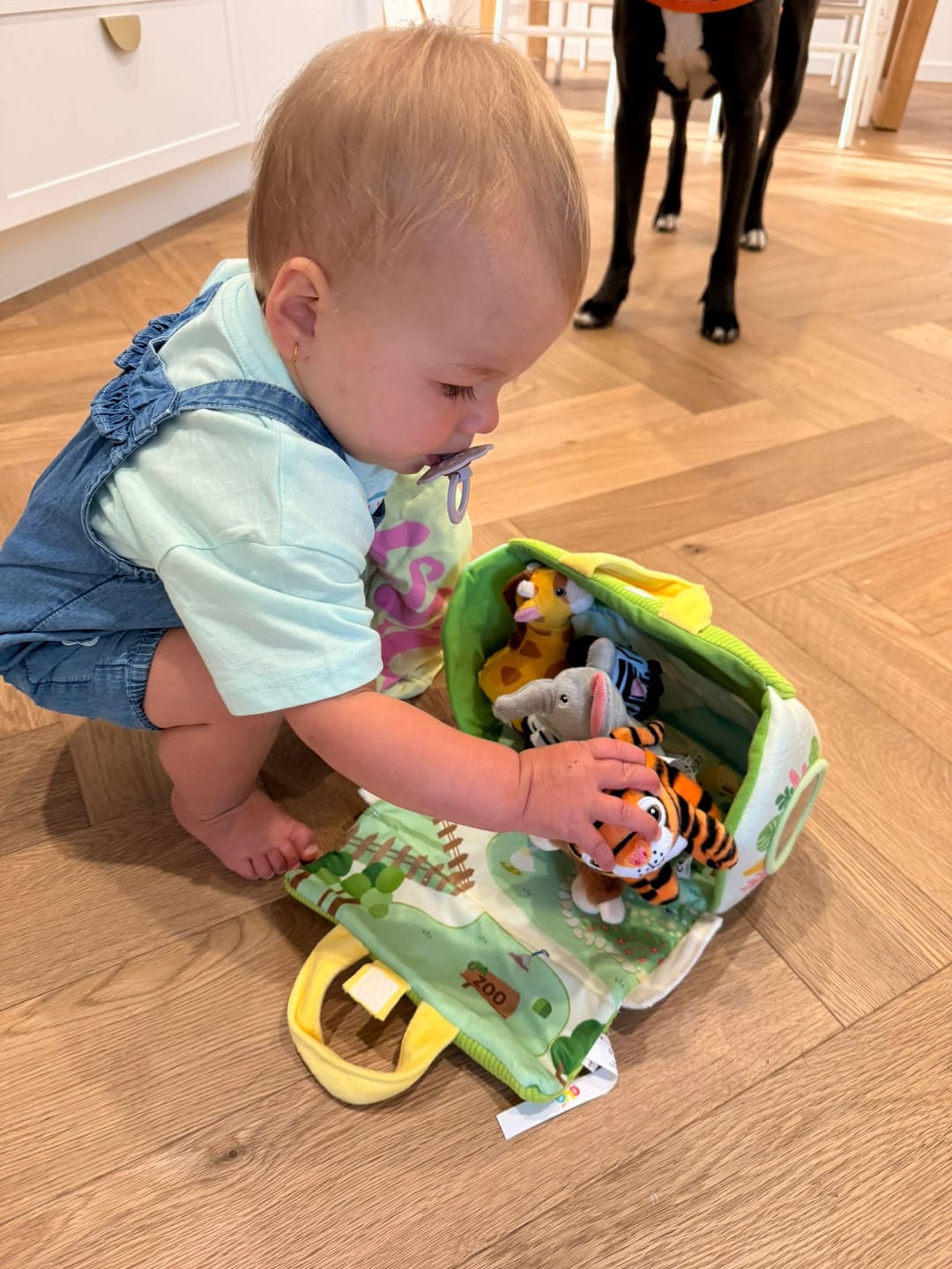 Customer photo review of Personalized Plush Playset Sensory Toy Kit - 10 Themes