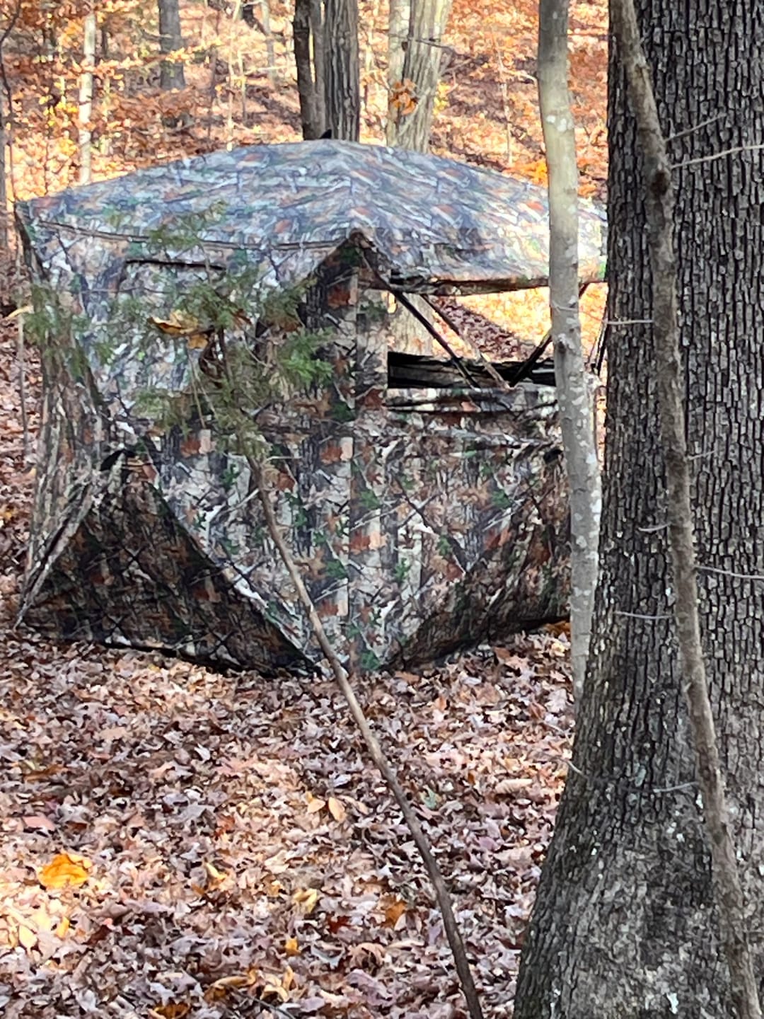 Customer photo review of Vis Series 270 Degree See Through Hunting Blind | Portable 2 3 4 Person Ground Blind | Camo Pop Up Ddeer Blind for Deer & Hunters