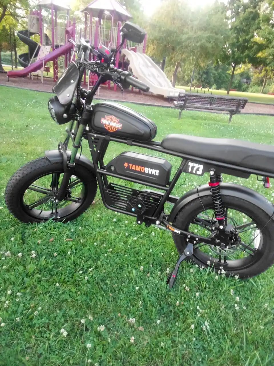 Customer photo review of Tamobyke T73 Electric Bike