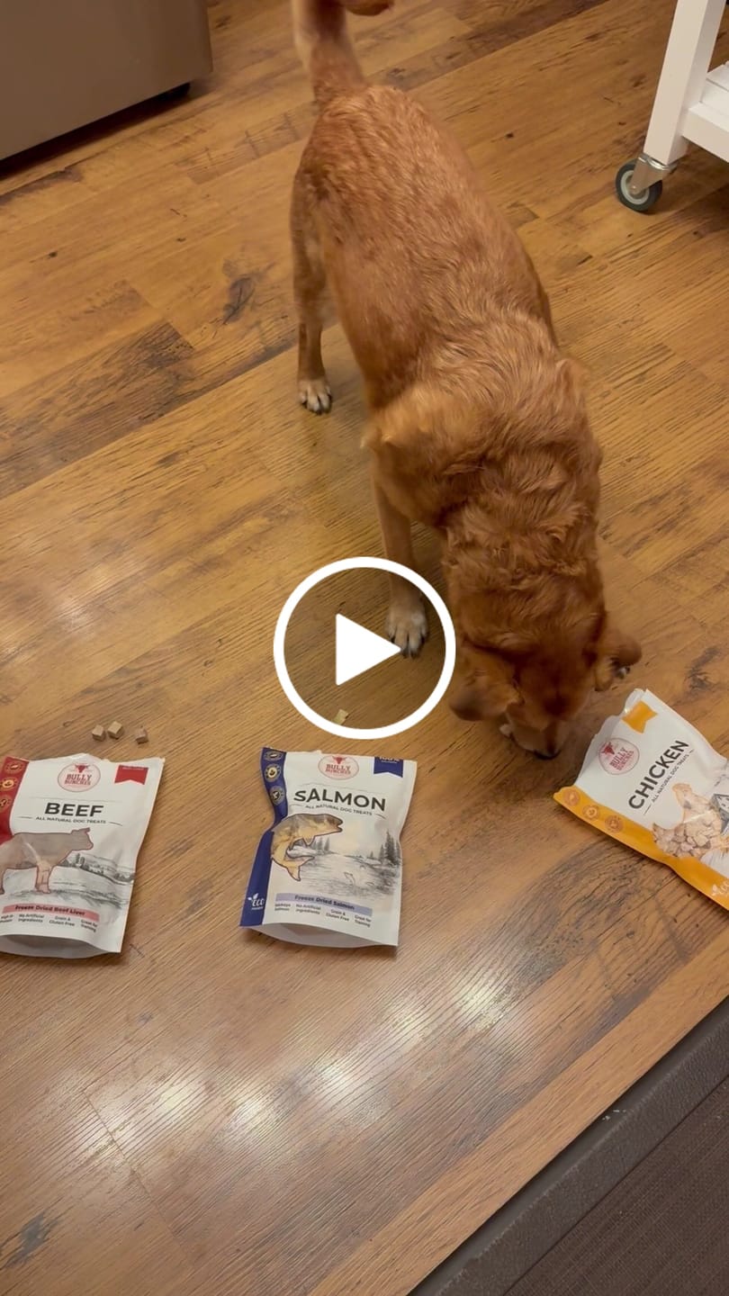 Customer video review of Freeze Dried Chicken (100g)