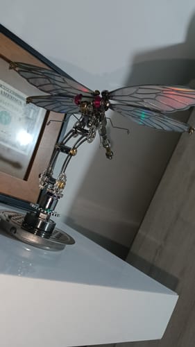 Customer photo review of Dragonfly