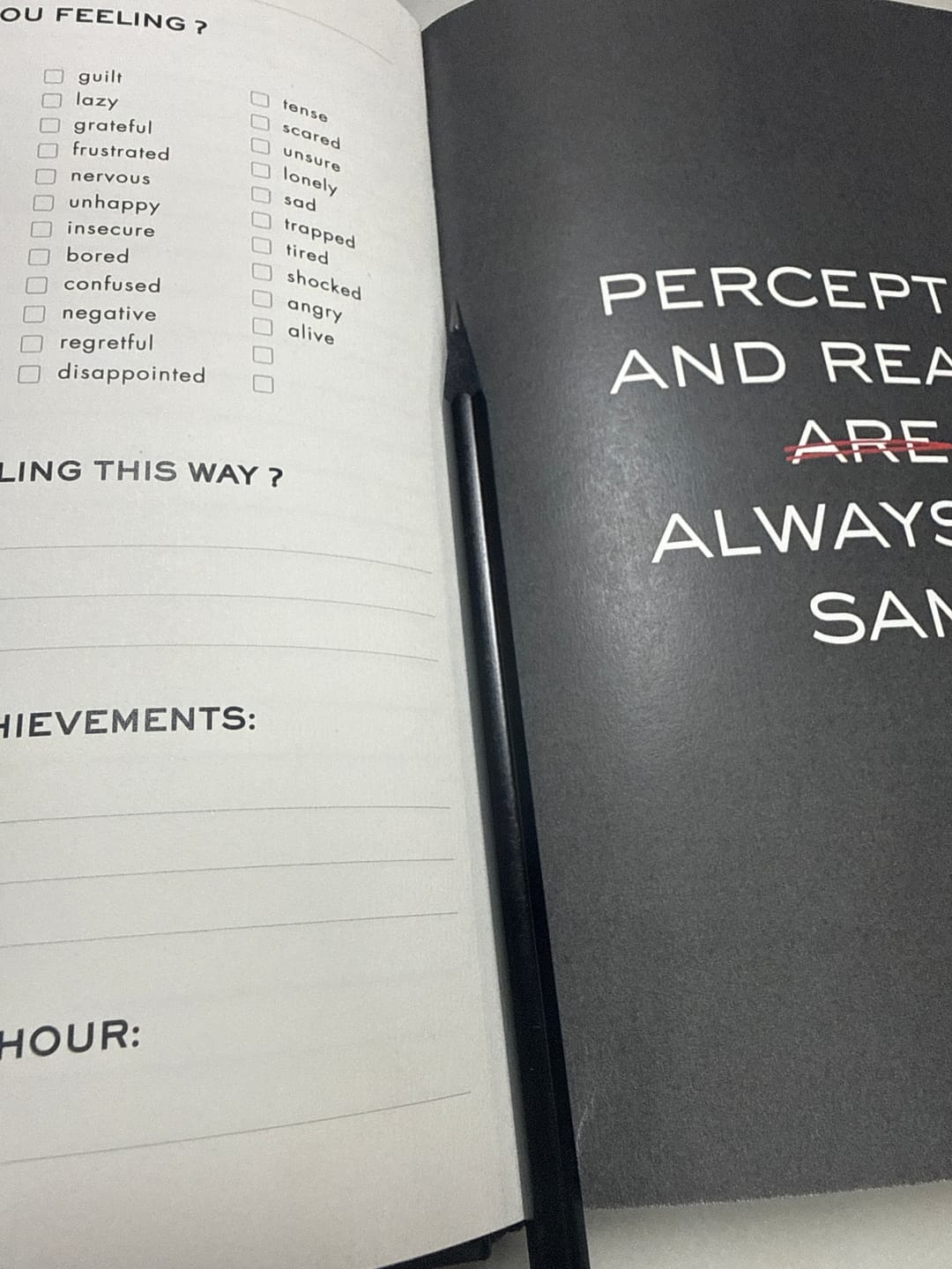 Customer photo review of Wisemor Journal