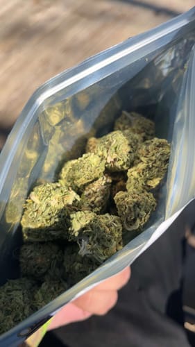 Customer photo review of Cheap THCA Flower Ounce