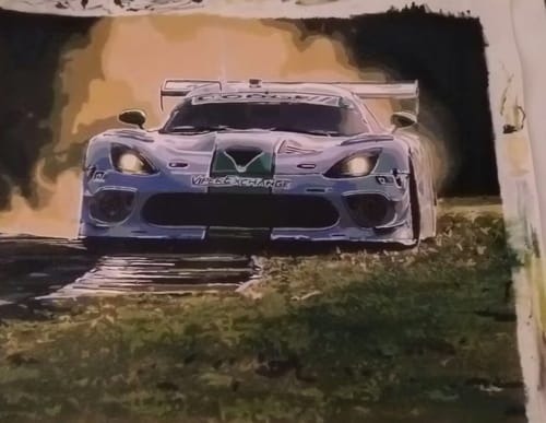 Customer photo review of Custom Landscape Paint By Numbers