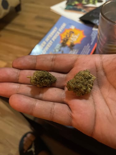 Customer photo review of White Runtz - Hybrid