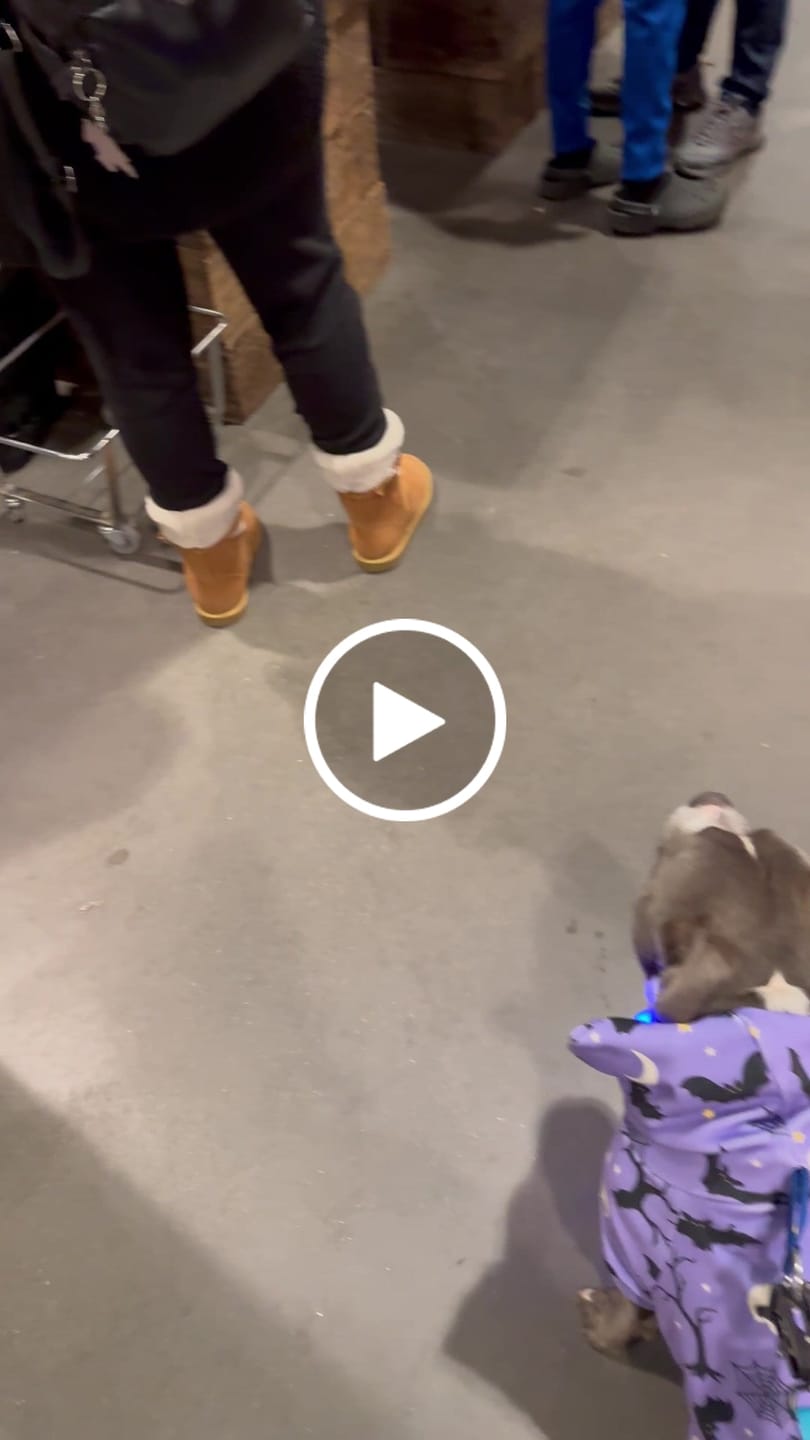 Customer video review of Adjustable Combat® Traffic Lead -  Light Blue