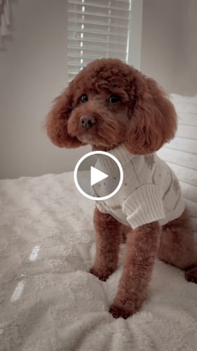 Customer video review of Winter Trees | The Capsule Roll Neck Knit