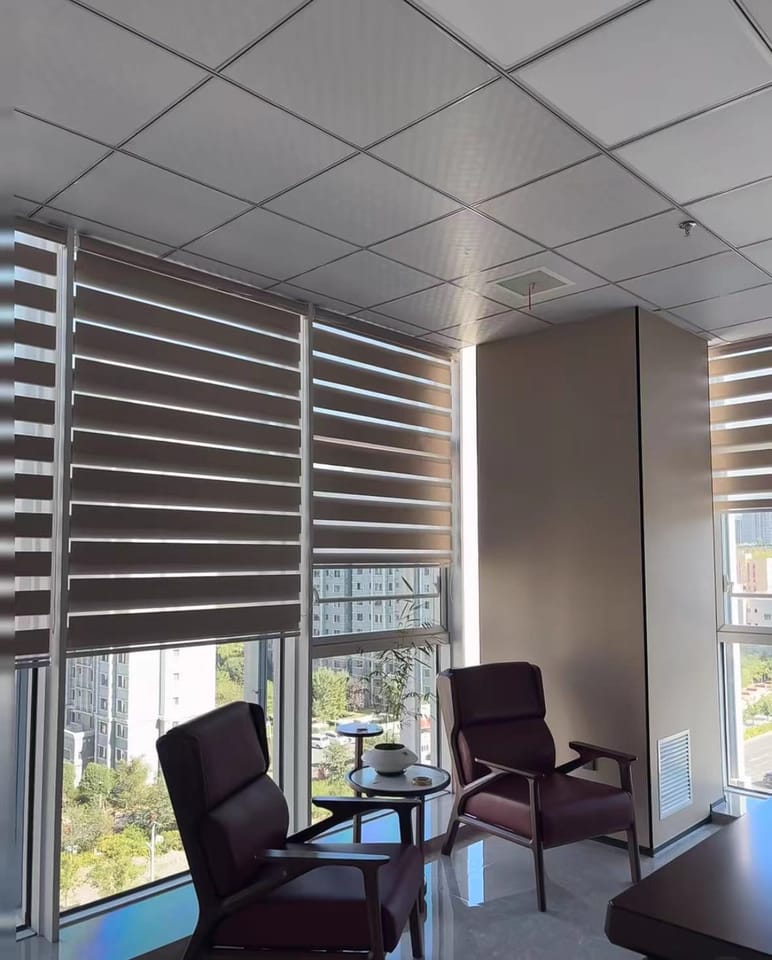 Customer photo review of Bringnox Motorized Zebra Roller Blinds 100% Blackout