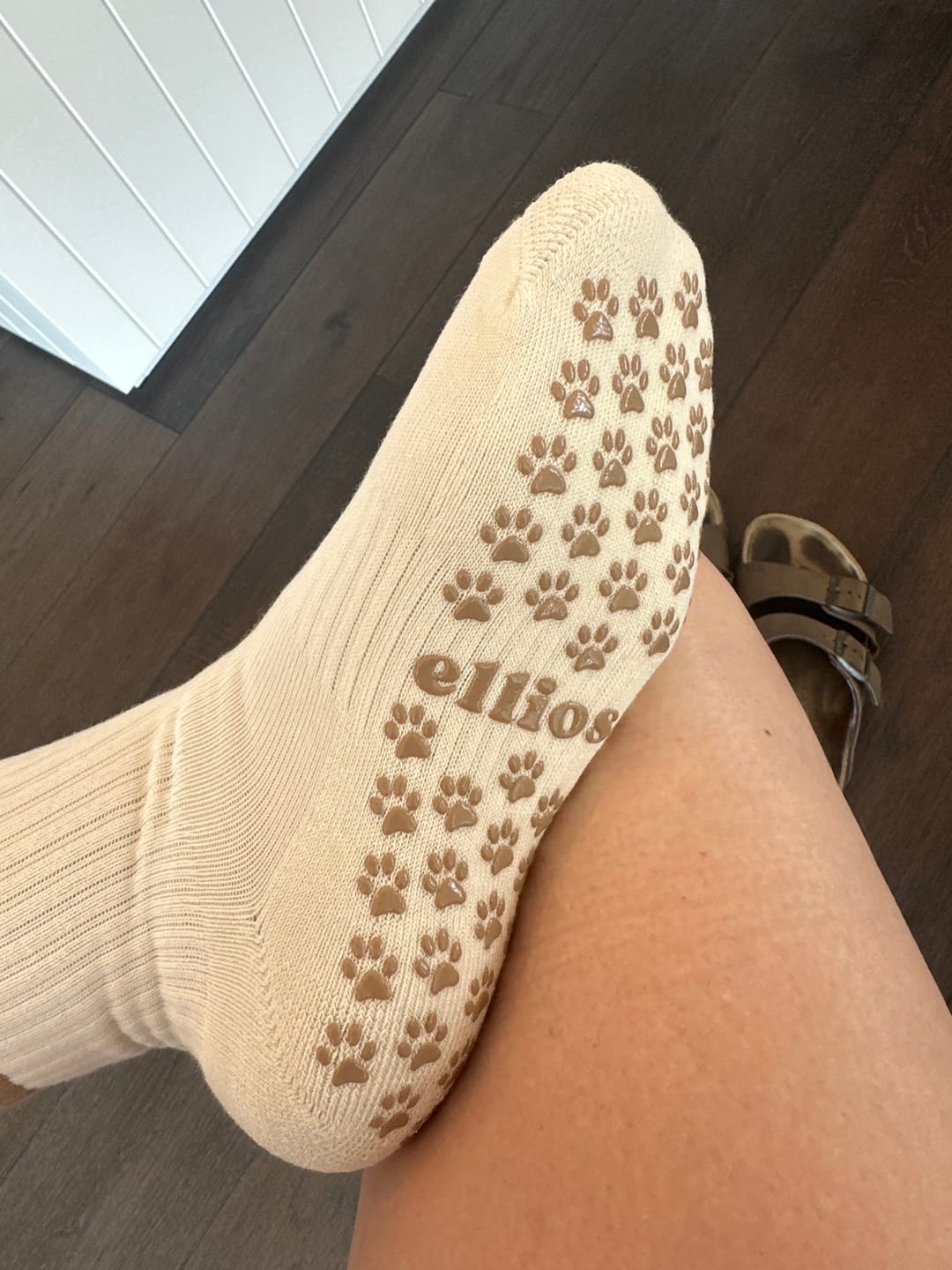 Customer photo review of Puppy Pilates