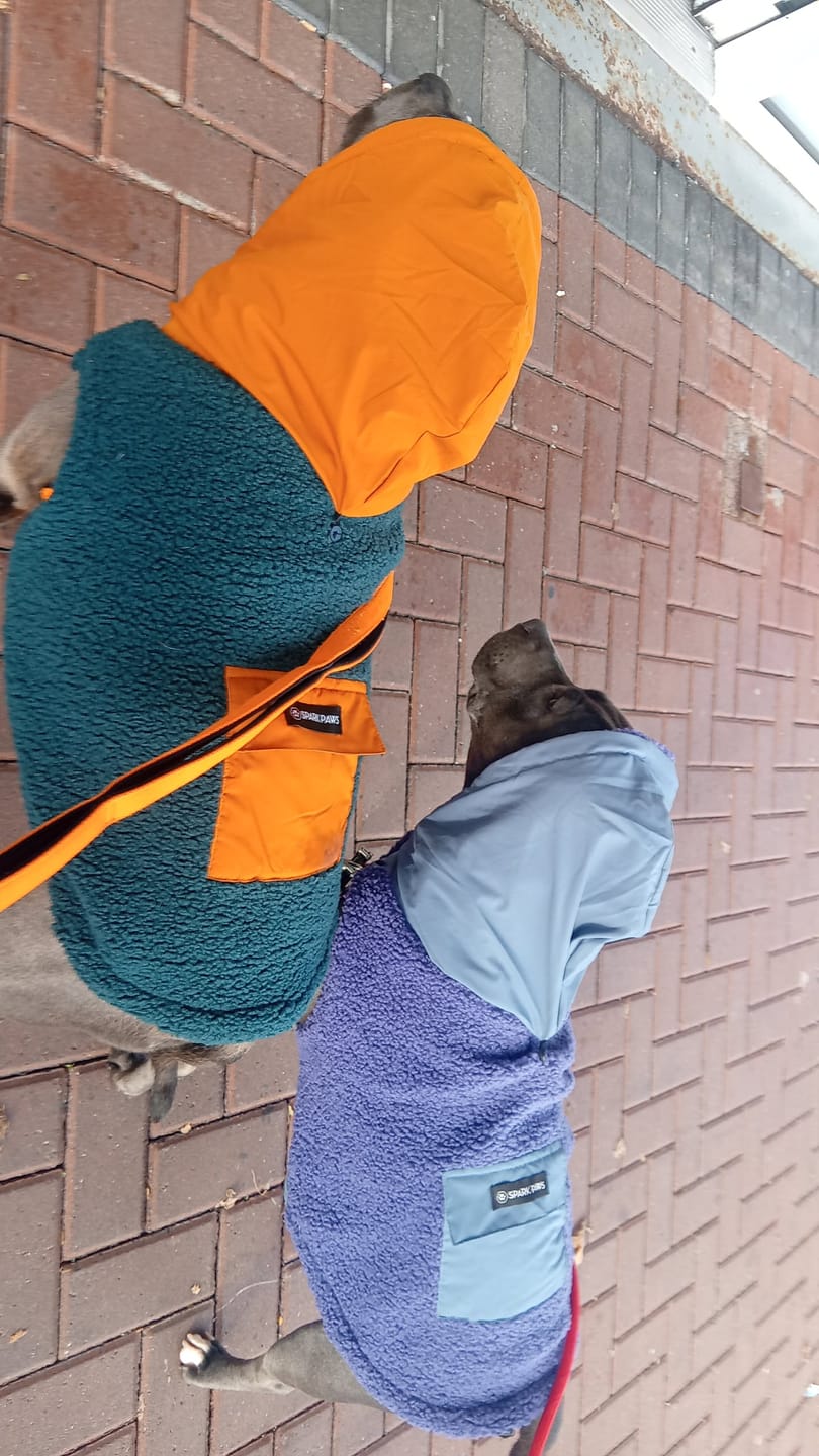 Customer photo review of Reversible Jacket - Green and Orange