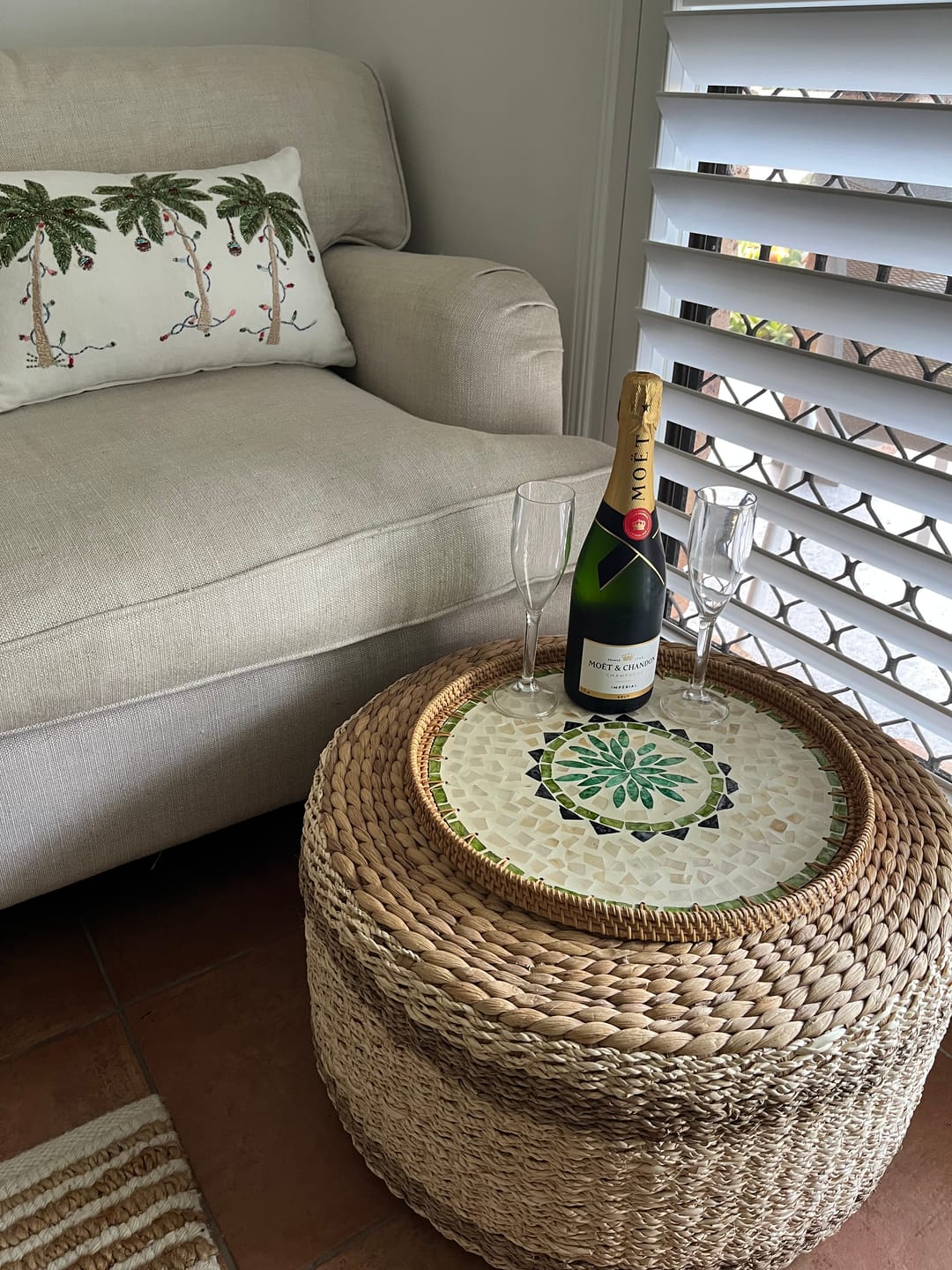 Customer photo review of Oasis Large Rattan Tray