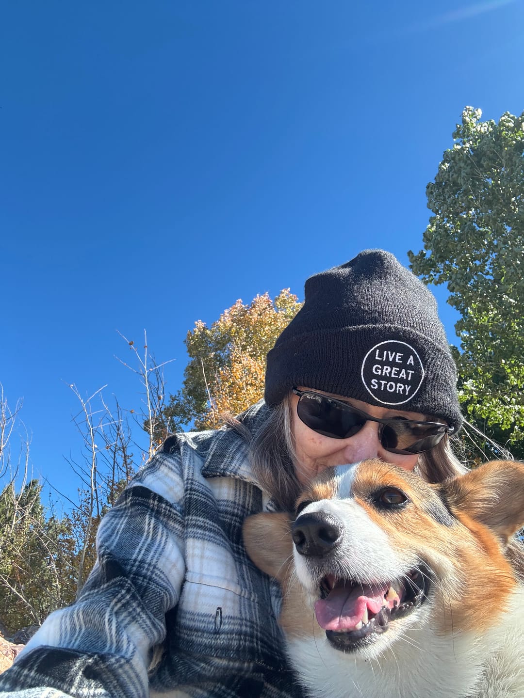 Customer photo review of KING KALM CBD 150mg - Medium Pet Formula 20 to 45lbs