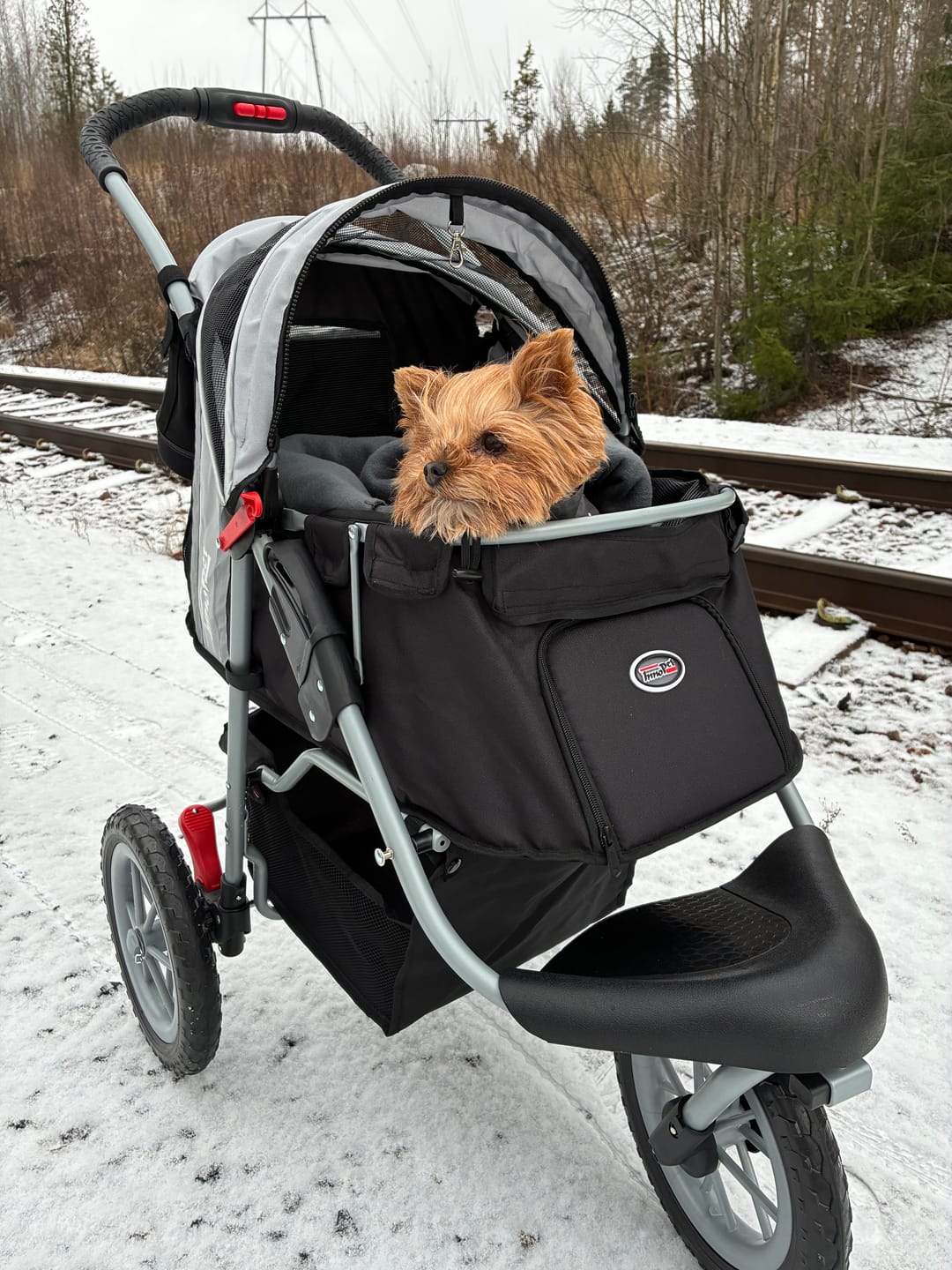 Customer photo review of Comfort EFA ECO lemmikkirattaat