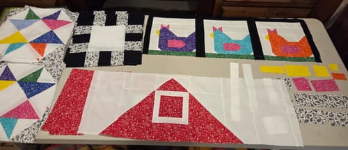 Customer photo review of Funky Chickens  Pre-Cut Ready-To-Sew Quilt Kit Fabric Pattern and Binding Included ALL PRE CUT  74 X 74 Backing included