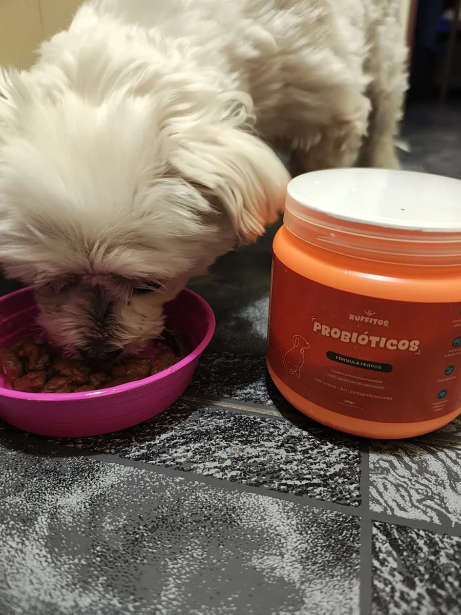 Customer photo review of Probioticos para perros | Fortalecé la salud de tu perrhijo desde adentro