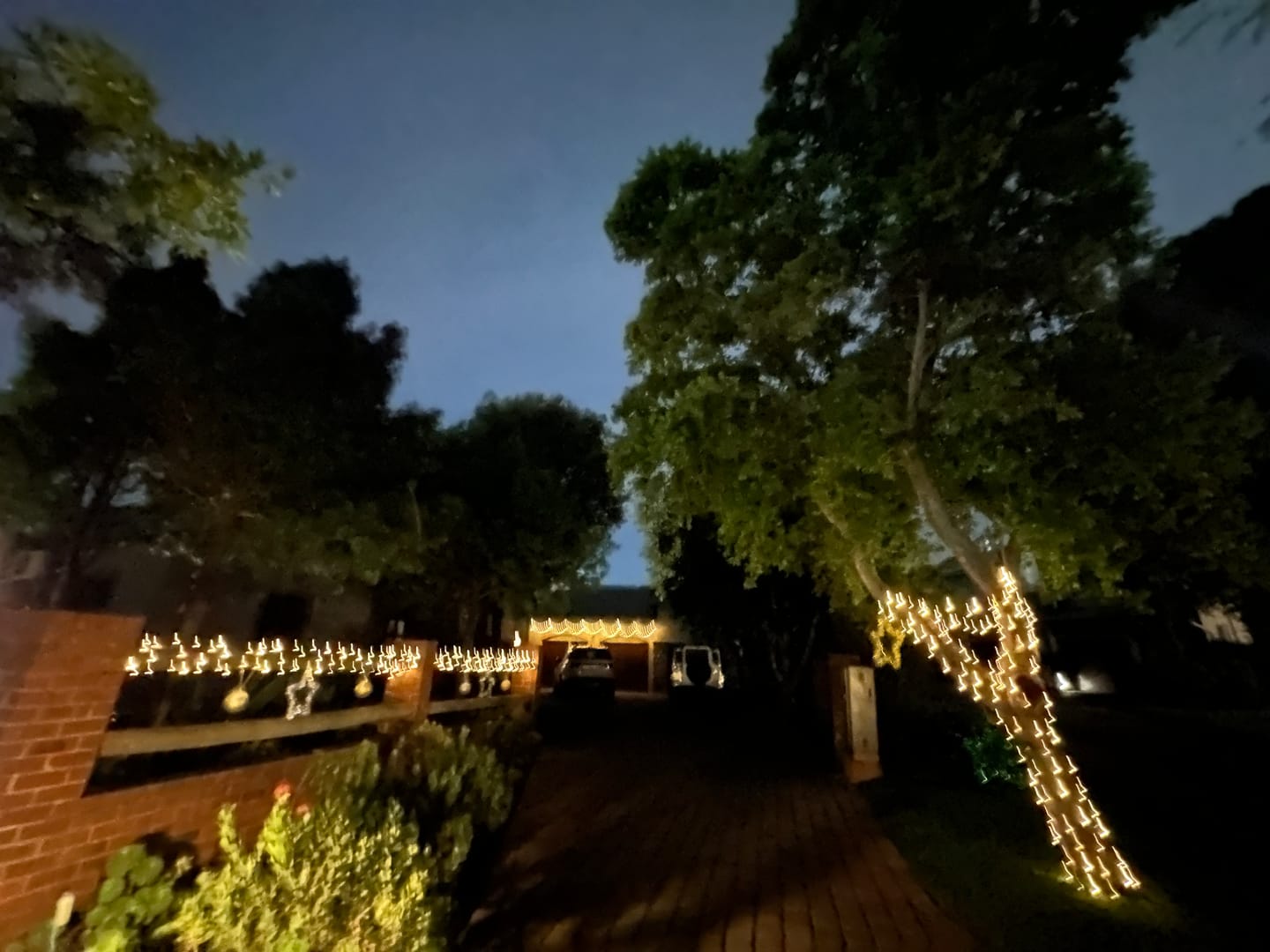 Customer photo review of Black String Solar Fairy Lights