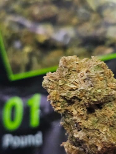 Customer photo review of THCA Flower Budget Buds