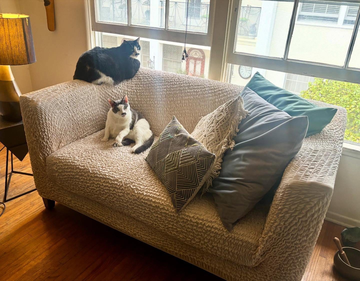 Customer photo review of Sofa 3 Seater Slipcover, Comfort Collection