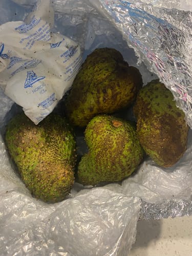 Customer photo review of Soursop