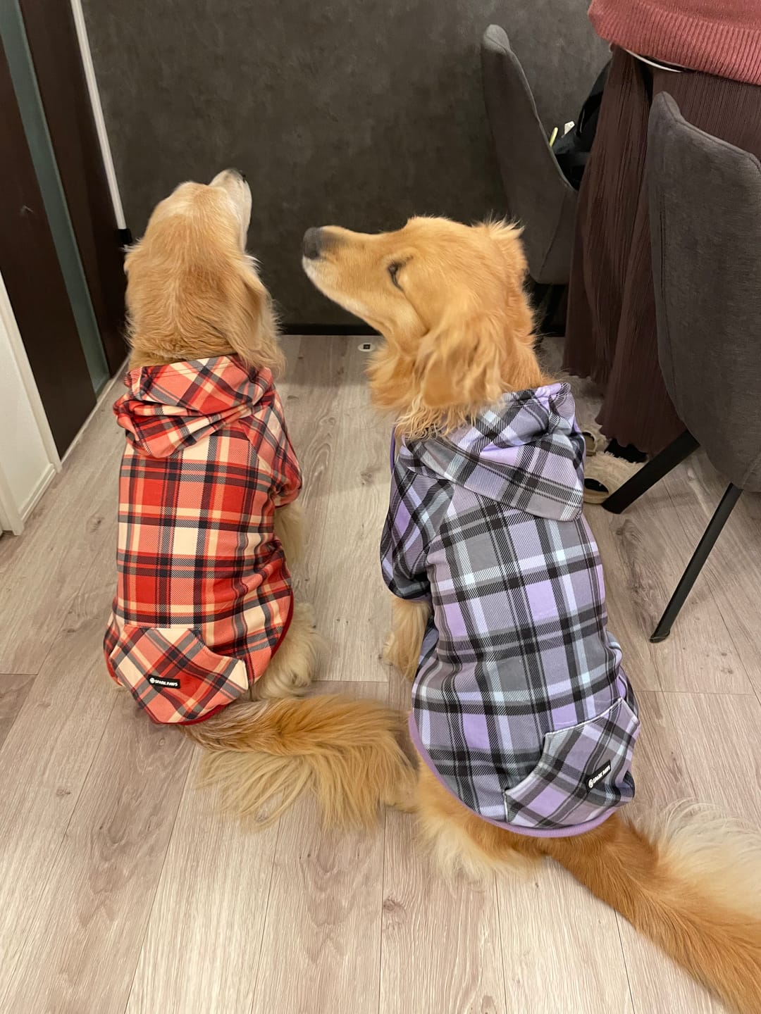 Customer photo review of Purple Plaid Human Hoodie