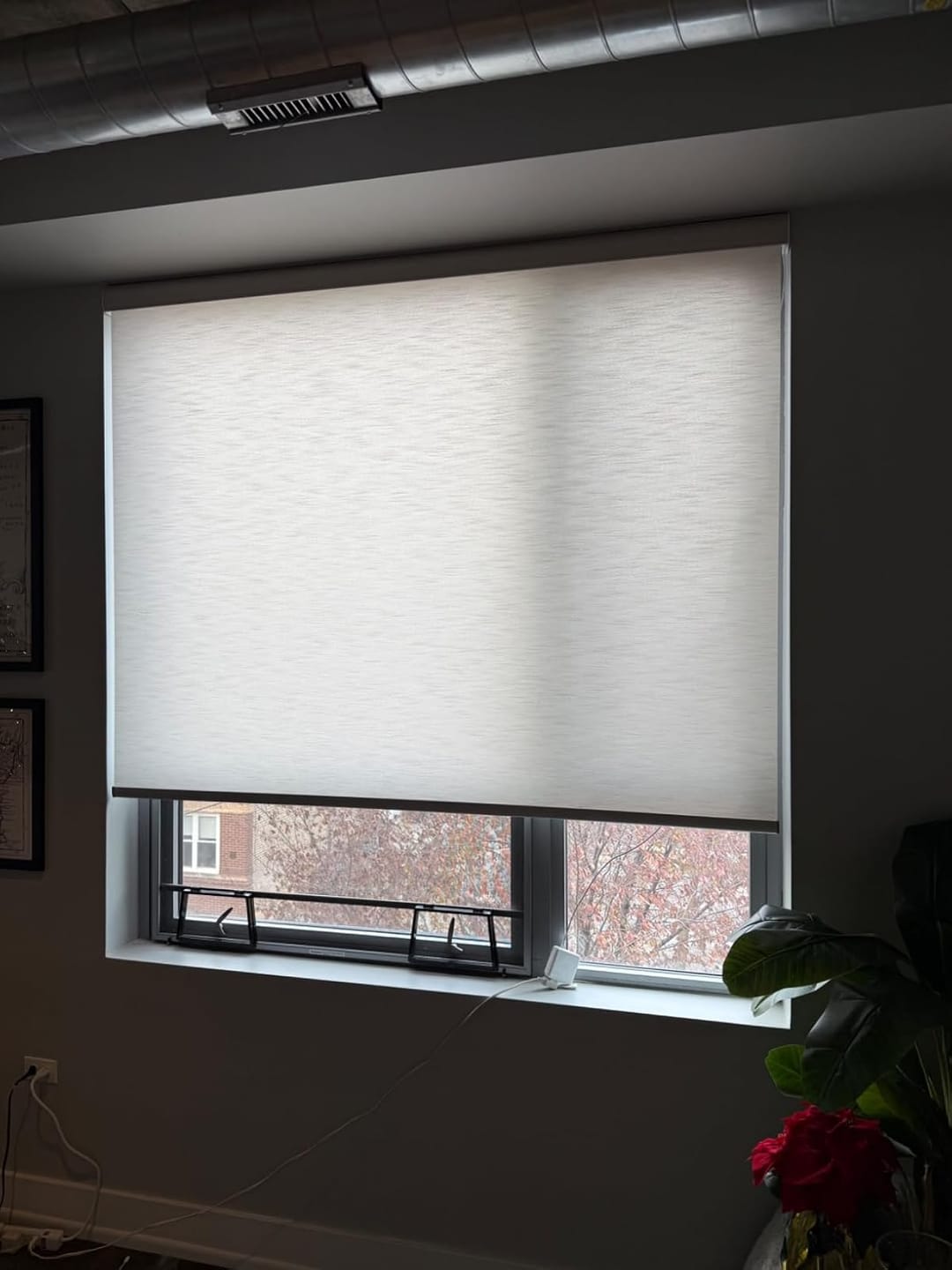 Customer photo review of Bringnox Motorized Light Filtering Roller Shades 70% Blackout Treebark