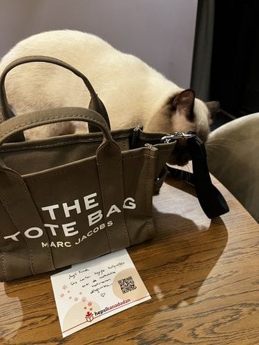 Customer photo review of Marc Jacobs Women's The Canvas Small Tote Bag Slate Green