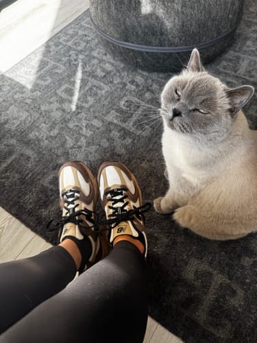 Customer photo review of New Balance 530 Dark Mushroom/Incense/Linen MR530SNC