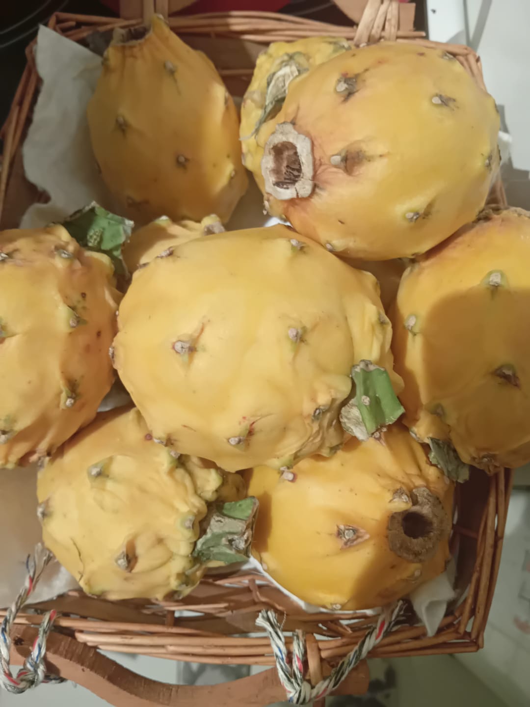 Customer photo review of Goldene Drachenfrucht von Alfonso Sonderaktion % 2kg