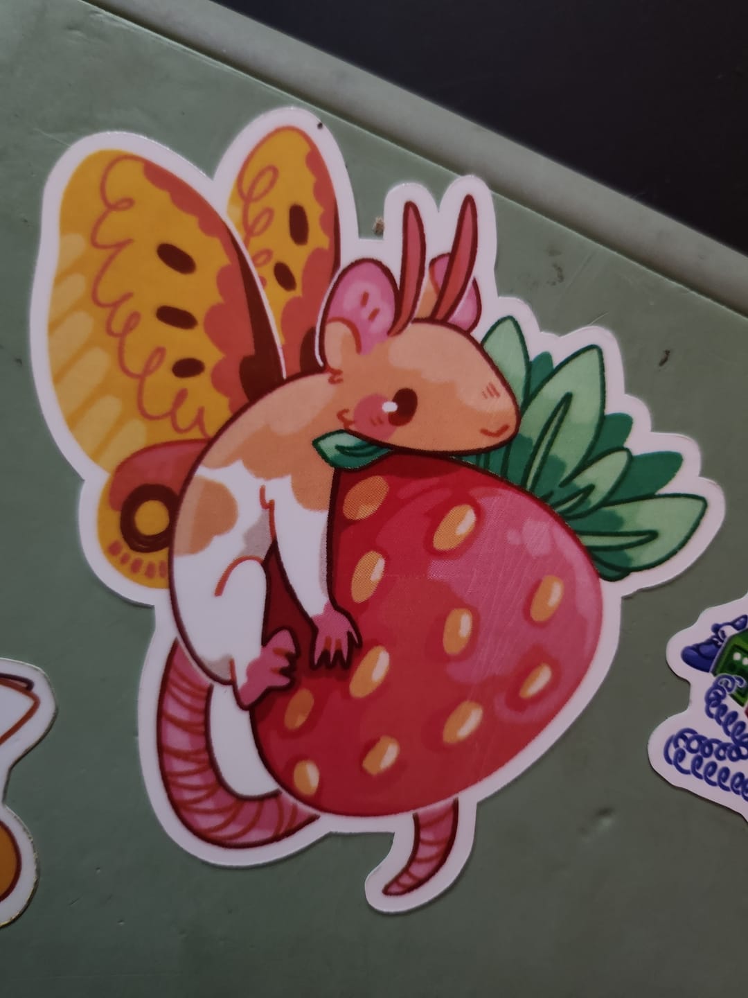 Customer photo review of Mothrat Stickers