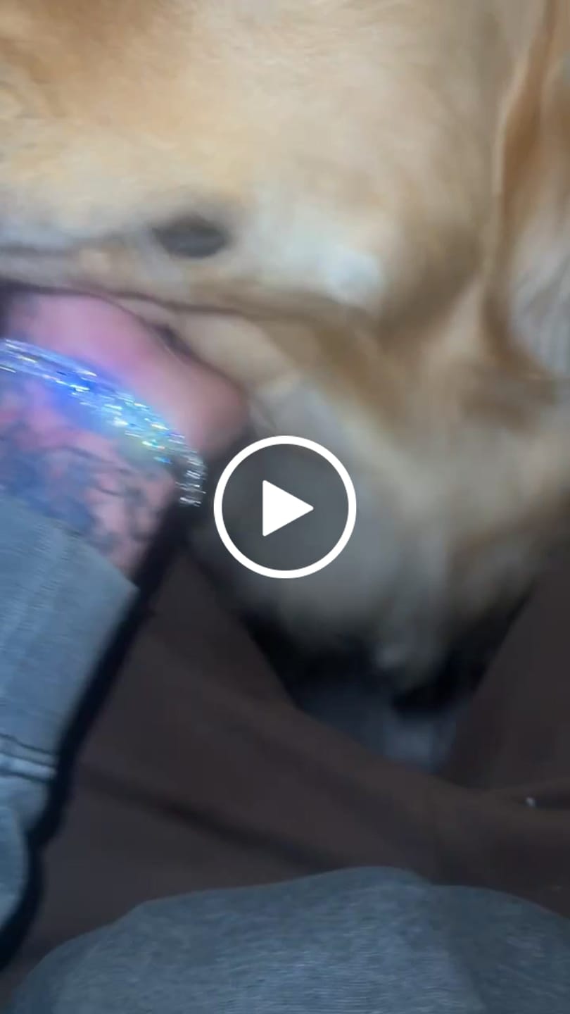Customer video review of 5mm Tennis Bracelet -  White Gold