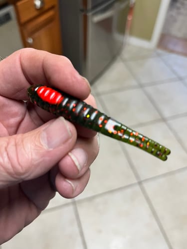 Customer photo review of H & H 3" Sparkle Beetle