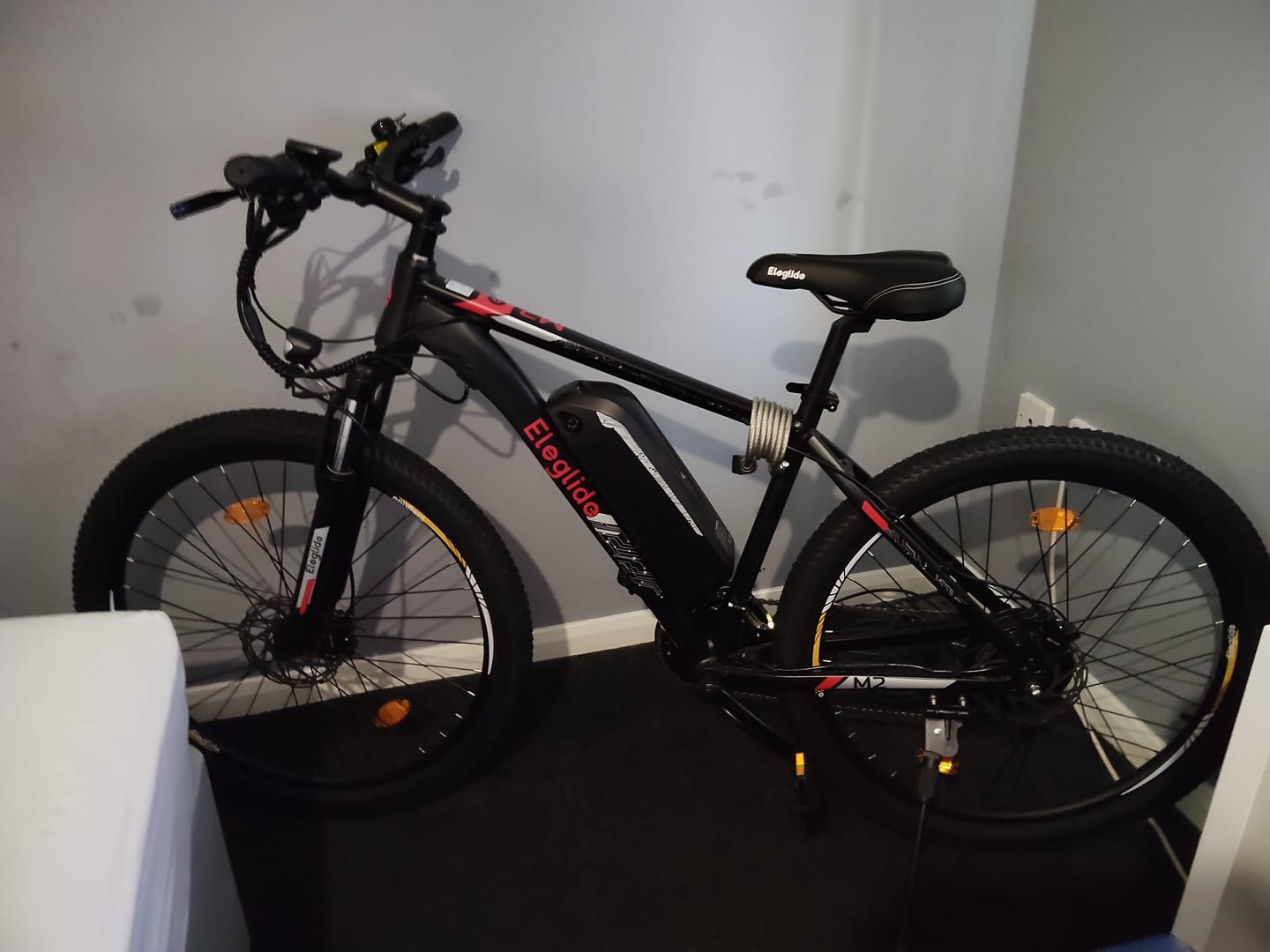 Customer photo review of Electric Mountain Bike Mopride 2