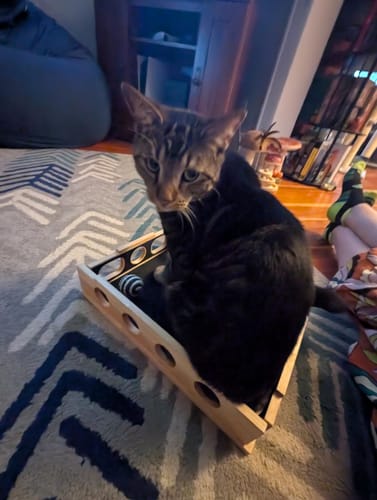 Customer photo review of The Polished Claws™ Box