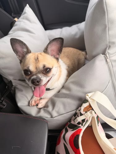 Customer photo review of Boujee Booster