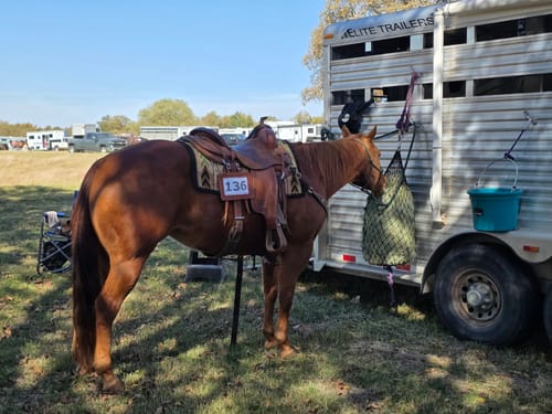 Customer photo review of Hay Chix® Half Bale Net