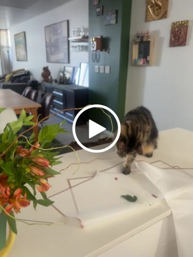 Customer video review of Bright Sunshine Bouquet