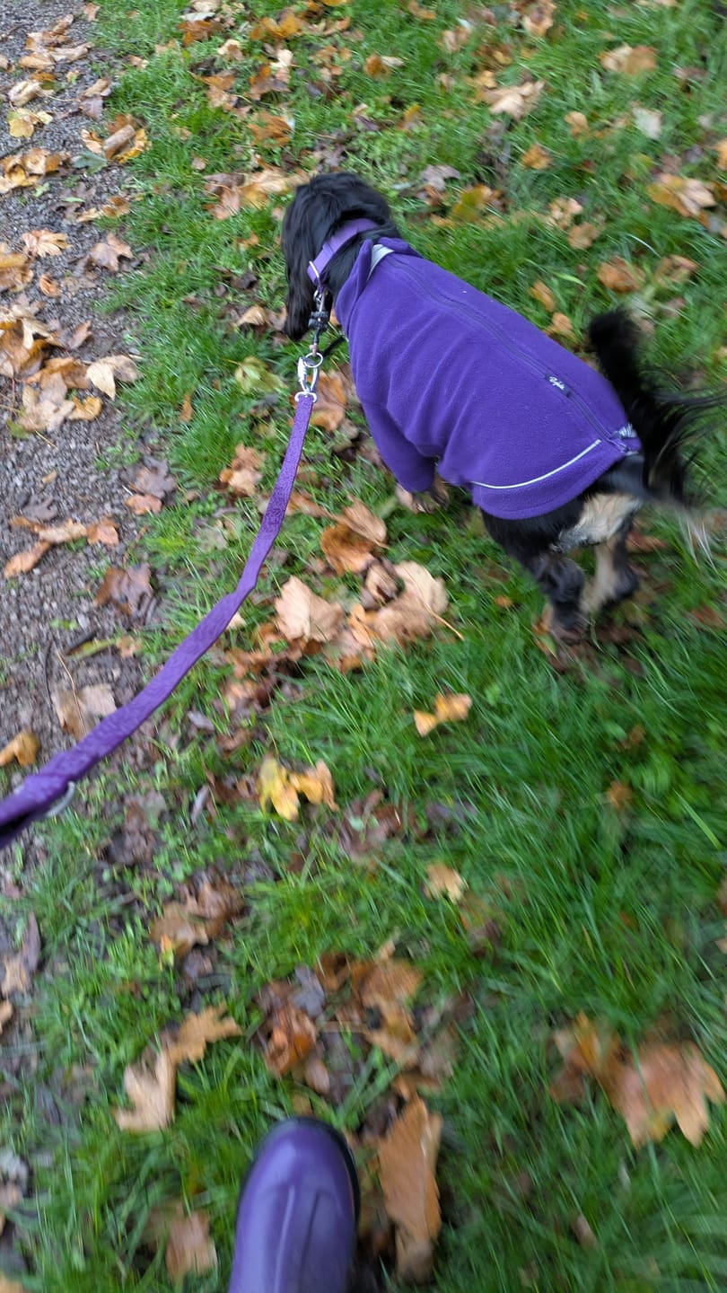 Customer photo review of Tidal Waterproof Lead