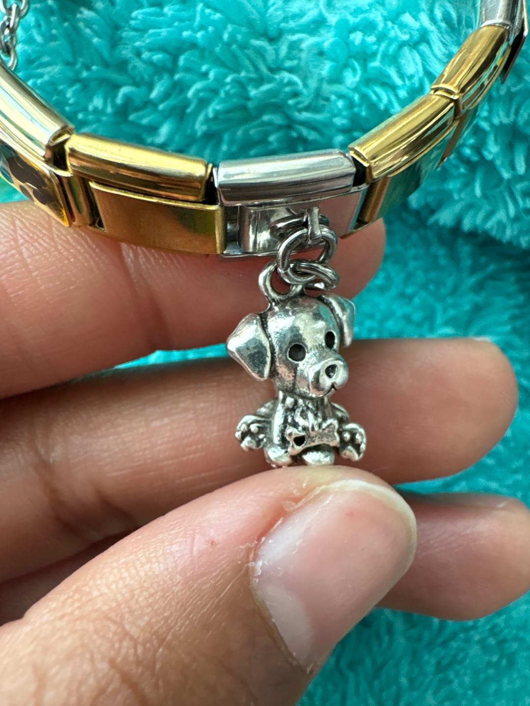 Customer photo review of Charm Perro