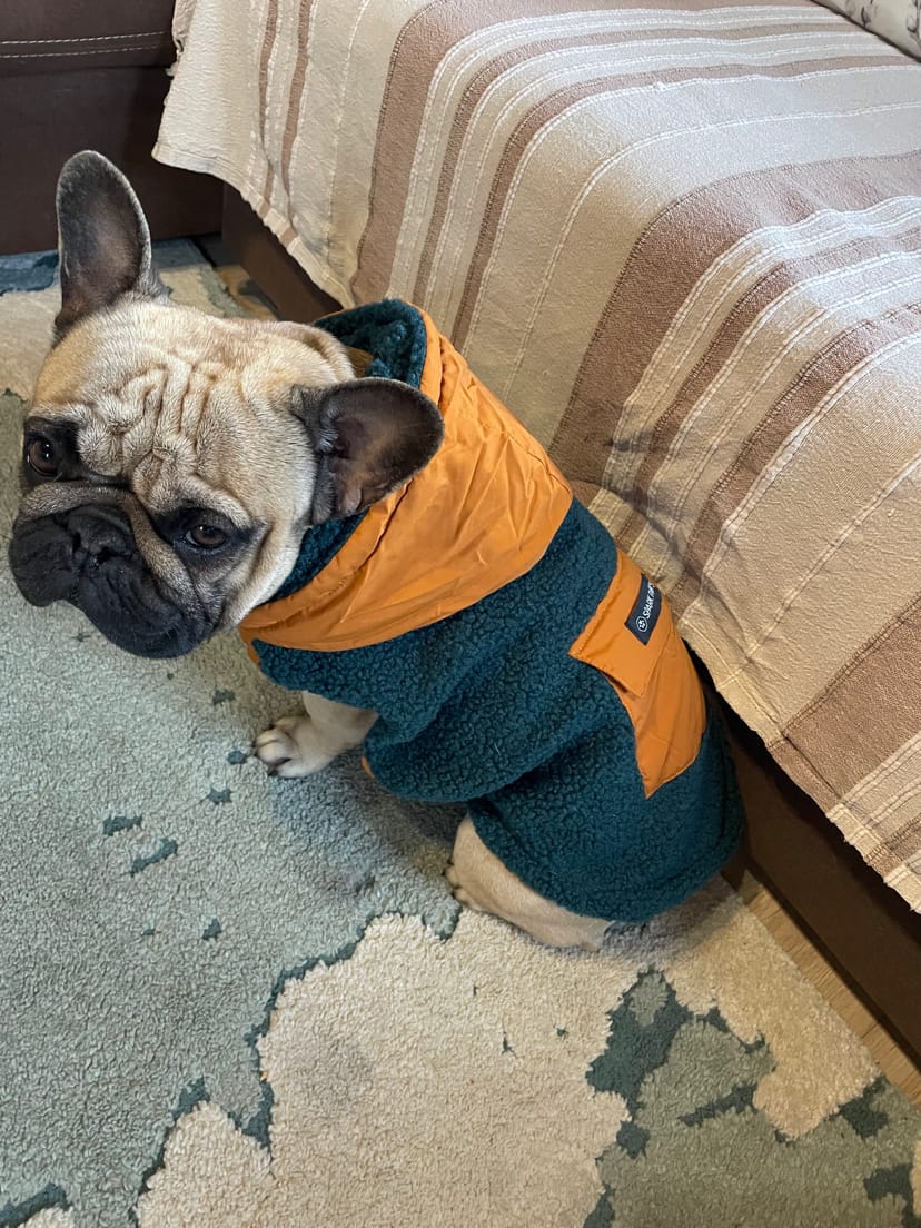 Customer photo review of Reversible Jacket - Green and Orange
