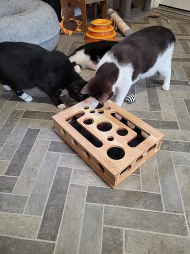 Customer photo review of The Polished Claws™ Box