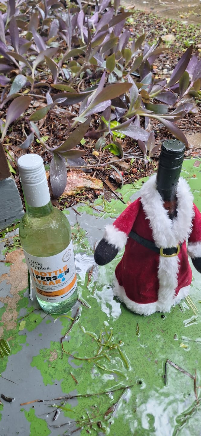 Customer photo review of Sauvignon Blanc - Single Bottle