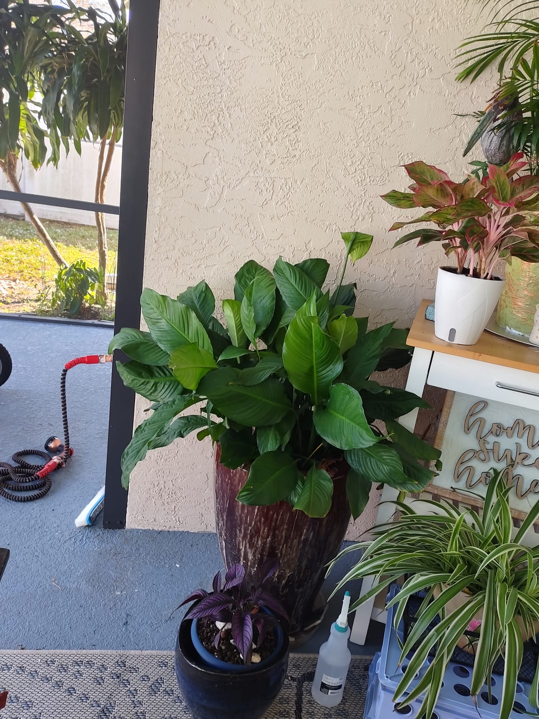 Customer photo review of Hydration Renew
