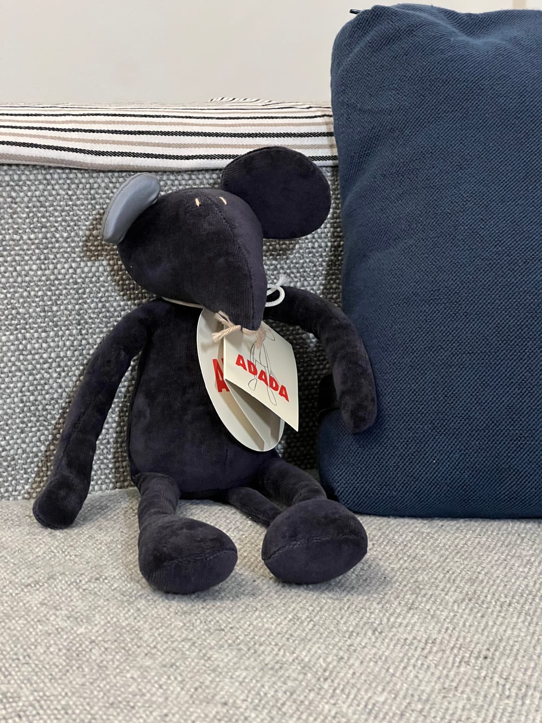 Customer photo review of HECTOR LE RAT - M