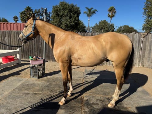 Customer photo review of Osteo-MAX » up to 29% Off