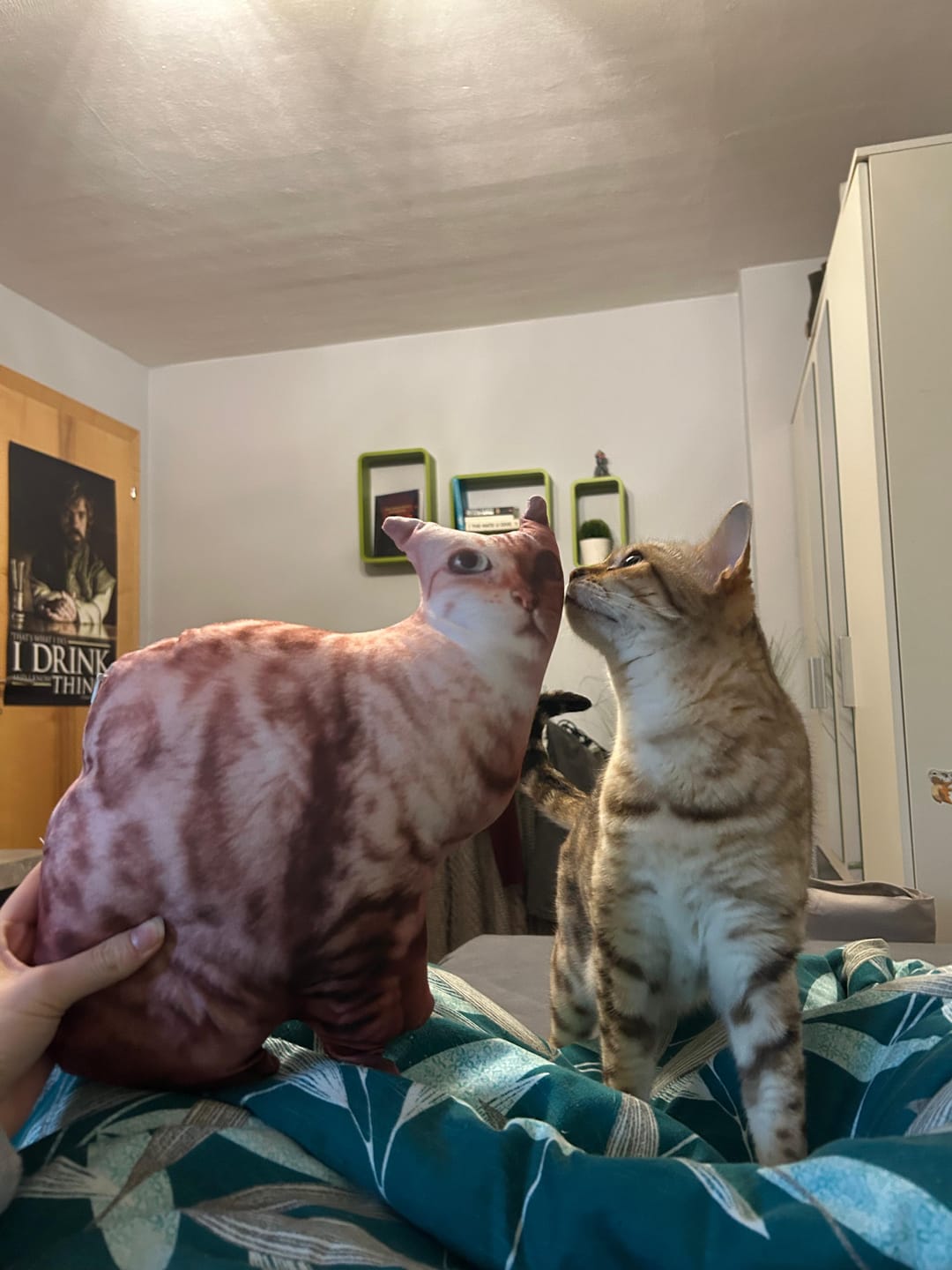 Customer photo review of Custom Pet Pillow