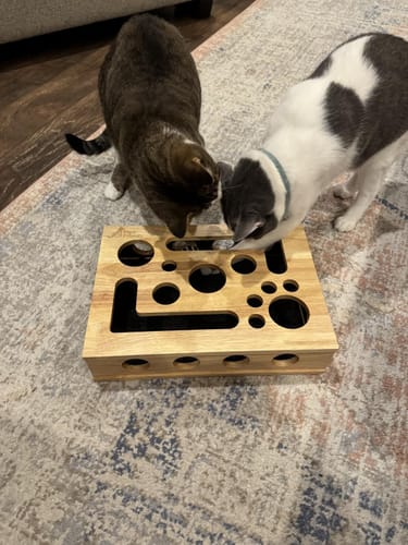 Customer photo review of The Polished Claws™ Box