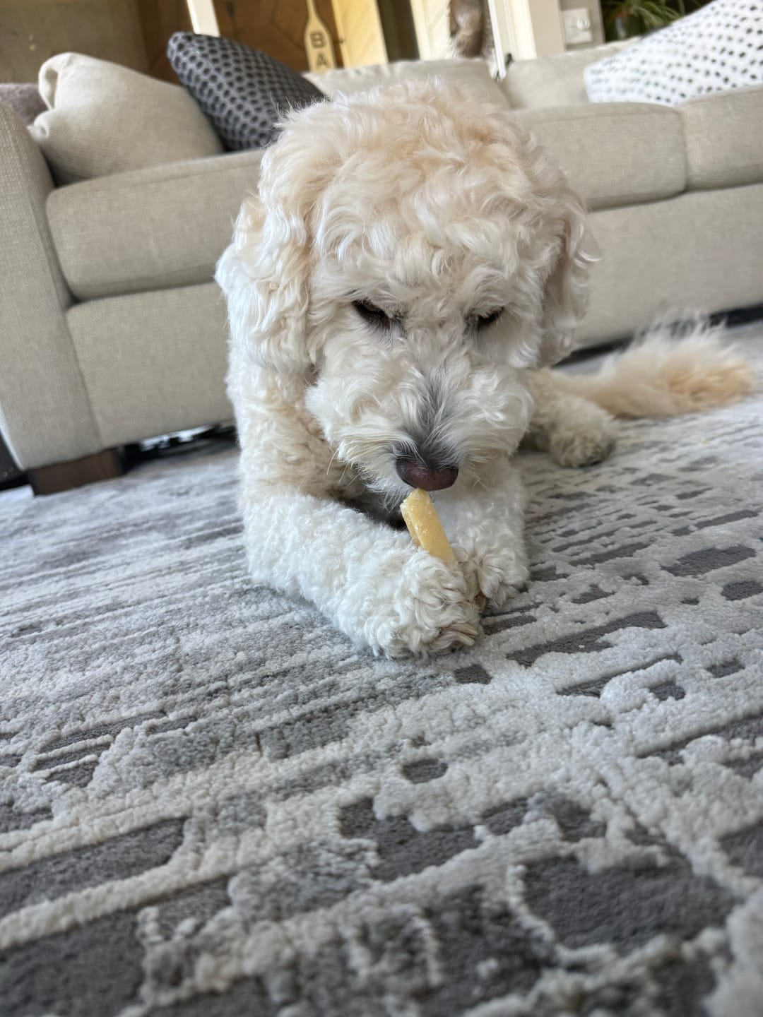 Customer photo review of Coconut Yak Chews