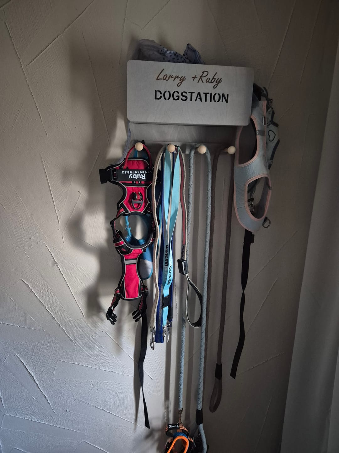 Customer photo review of Dogstation Classic